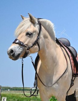 Edix ED4 hackamore hoofdstel Hack-Q&reg; Classic zwart