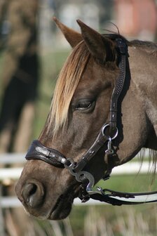 Edix ED4 hackamore hoofdstel Hack-Q&reg; Jazz bruin