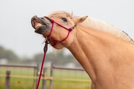 Edix leadrope Resi 6,8 meter bruin/bordeaux