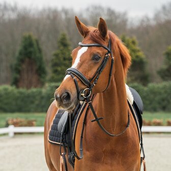 Horka hoofdstel Deluxe zwart/ros&eacute;