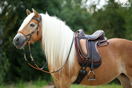 Barefoot dressuur zadel Barrydale bruin