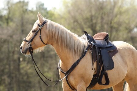 Barefoot Western Borsttuig zwart