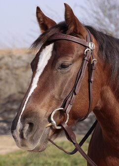 Barefoot Western Hoofdstel Missoula Nut