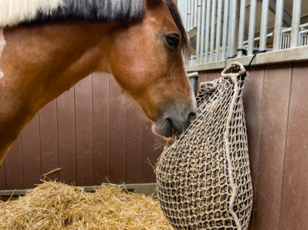 Excellent slowfeeder dubbel 5kg