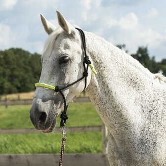 Norton touwhalster met halstertouw neon groen