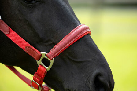 HKM halster -Aruba- rood