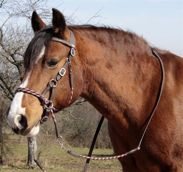 Barefoot bitloos hoofdstel kaakgekruisd/sidepull Syringa bruin/bordeaux