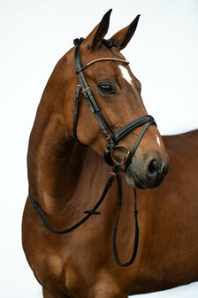 HKM hoofdstel -Rosegold Glamour-