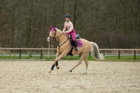 HKM oornetje Polly