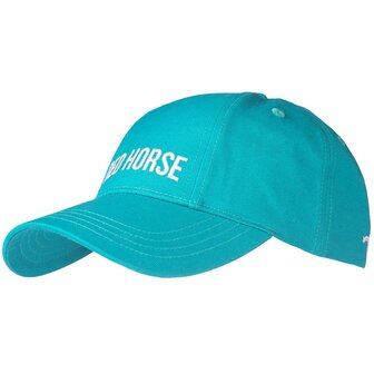 Red Horse pet turquoise