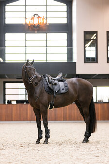 Imperial Riding peesbeschermers Lovely zwart