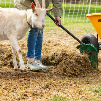 Muck Boot schoenen Forager Low