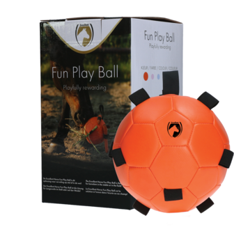 Excellent fun play bal oranje