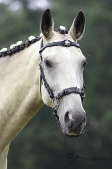 FRA bitloos hackamore hoofdstel Caval zwart