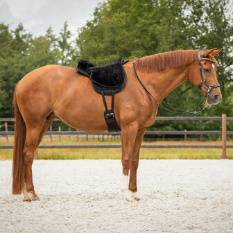 QHP bareback pad super soft zwart