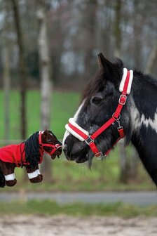 HKM cuddle pony startersset rood