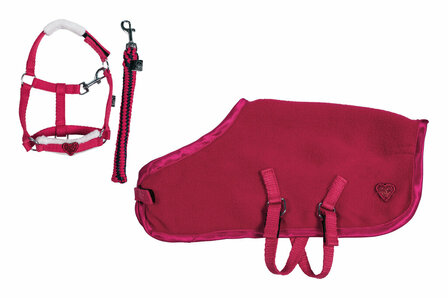 HKM cuddle pony startersset rood