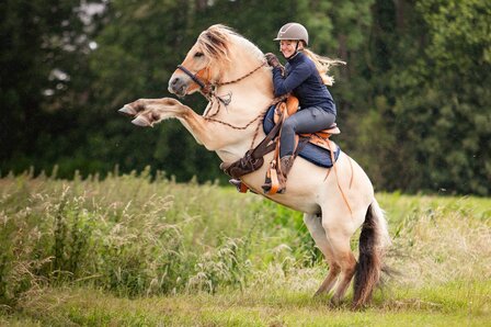 Edix boomloos Westernzadel Santos naturel