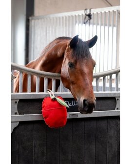 HB paardenspeelgoed appel