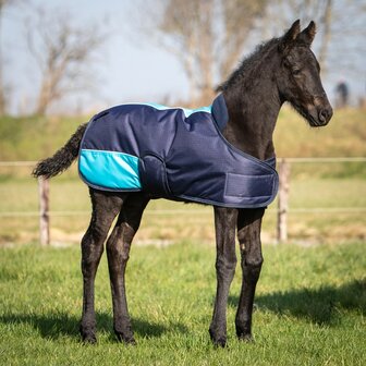 Harry&#039;s Horse waterdichte veulendeken TwoTone 200 gram navy