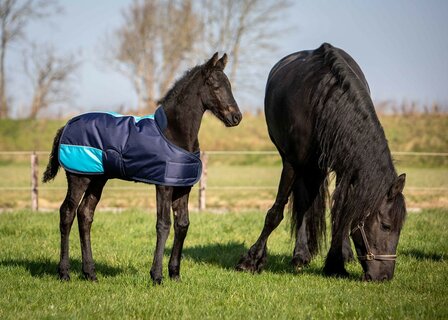 Harry&#039;s Horse waterdichte veulendeken TwoTone 200 gram navy