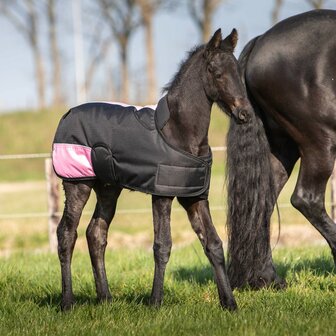 Harry&#039;s Horse waterdichte veulendeken TwoTone 200 gram zwart