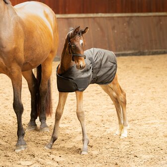 Harry&#039;s Horse veulendeken staldeken 100 gram zwart