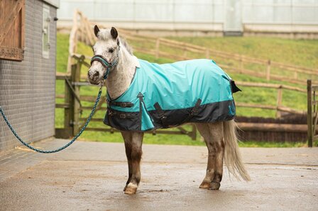 Harry&#039;s Horse regendeken STOUT! Beryl 0 gram