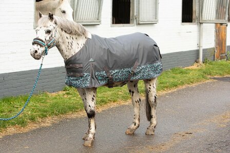 Harry&#039;s Horse regendeken STOUT! Beryl 200 gram