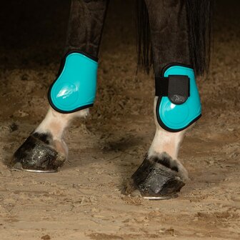 Harry&#039;s Horse kogelbeschermers Next turquoise