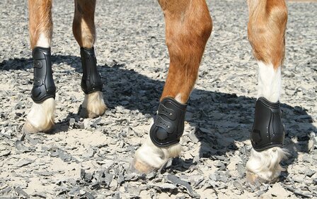 Harry&#039;s Horse peesbeschermers Percy Air zwart