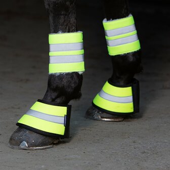 Harry&#039;s Horse reflecterende springschoenen