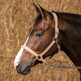 Harry&#039;s Horse leren halster Cremello