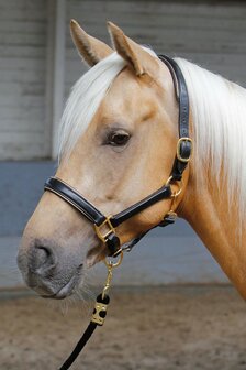 Harry&#039;s Horse leren halster met bies zwart/goud