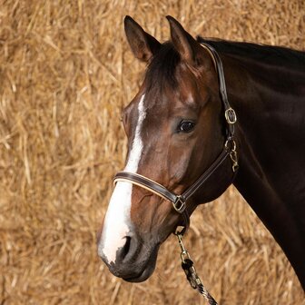 Harry&#039;s Horse leren halster Elegance bruin