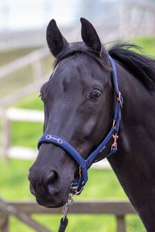 Harry&#039;s Horse halster Bit navy