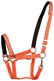 Harry&#039;s Horse halster Padded oranje