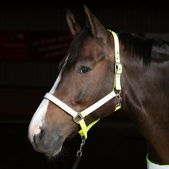 Harry&#039;s Horse halster Reflective