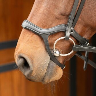 Harry&#039;s Horse hoofdstel Anatomic zwart