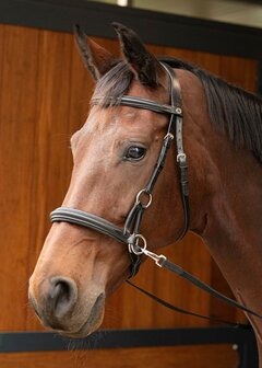 Harry&#039;s Horse bitloos sidepull hoofdstel