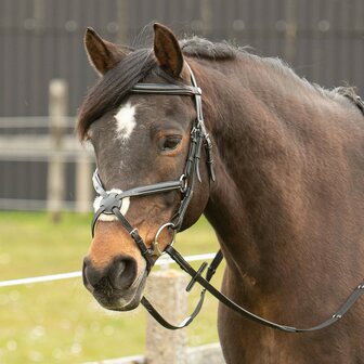 Harry&#039;s Horse hoofdstel Mexicaans zwart