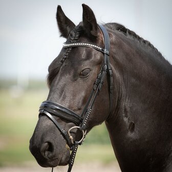 Harry&#039;s Horse hoofdstel Diamond Lacque