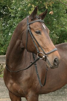 Harry&#039;s Horse hoofdstel Bronze lage neusriem