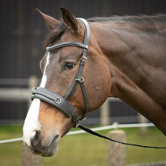 Harry&#039;s Horse leren kaptoom Comfort