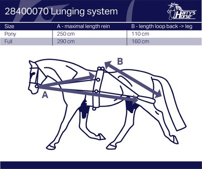 Harry&#039;s Horse longeerhulpteugel pessoa