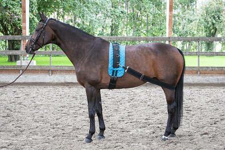 Harry&#039;s Horse longeerband elastisch