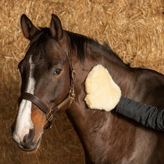 Harry&#039;s Horse wollen poetshandschoen