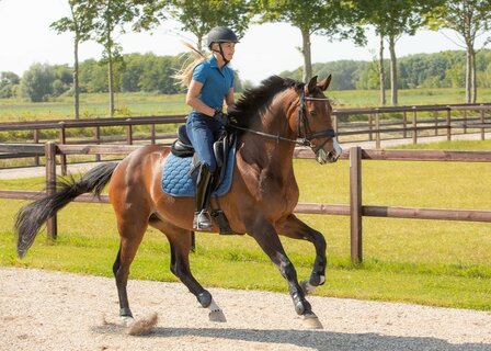 Harry&#039;s Horse zadeldek Krama