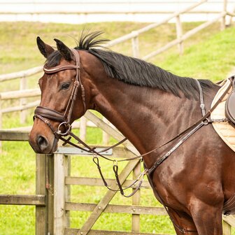 Harry&#039;s Horse voortuig Ros&eacute;gold bruin