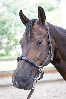 Harry&#039;s Horse neusnetje zwart